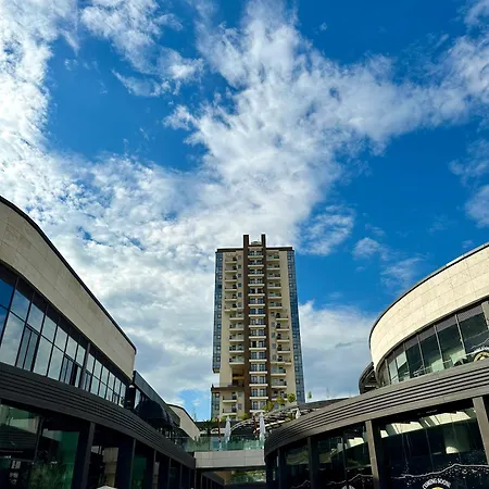 Designer In The Heart Of Daire *